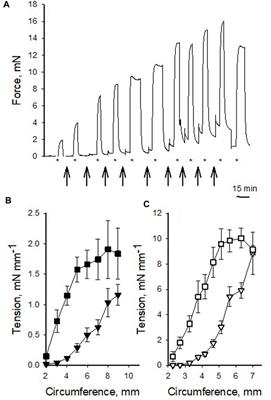 Pharmacological and mechanical properties of isolated pig coronary veins